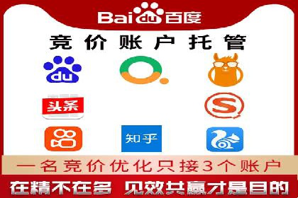SEM服务在本地化营销中的应用案例